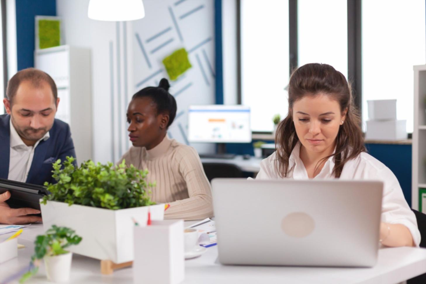 Metodología de trabajo colaborativo en zelipharos